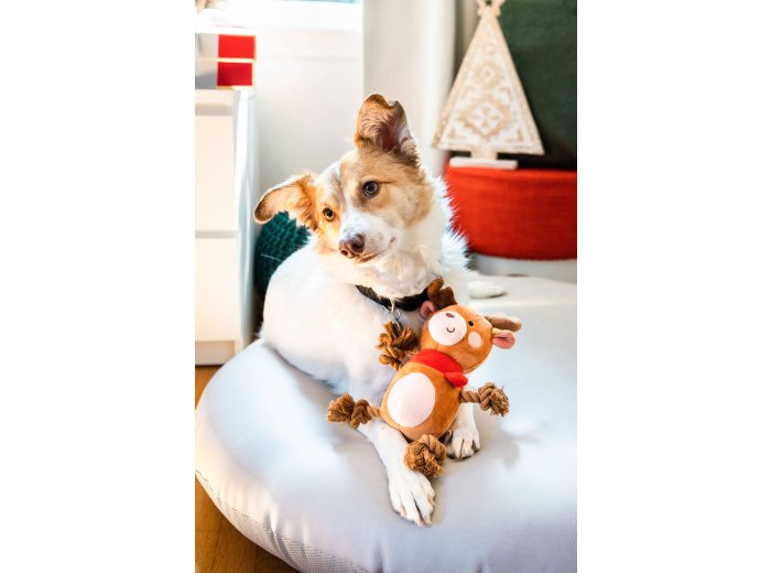Reindeer Plush Rope Christmas Dog Toy