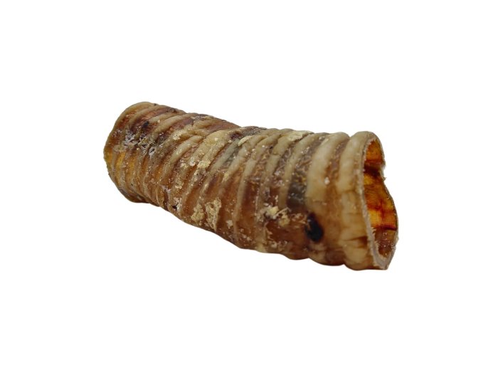 6" Beef Trachea Dog Treat - All-Natural Dog Chews (25/case)