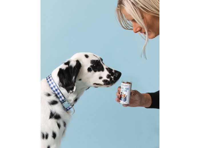 Holiday Mini Tube: I Love You A Latke - Dog Treats