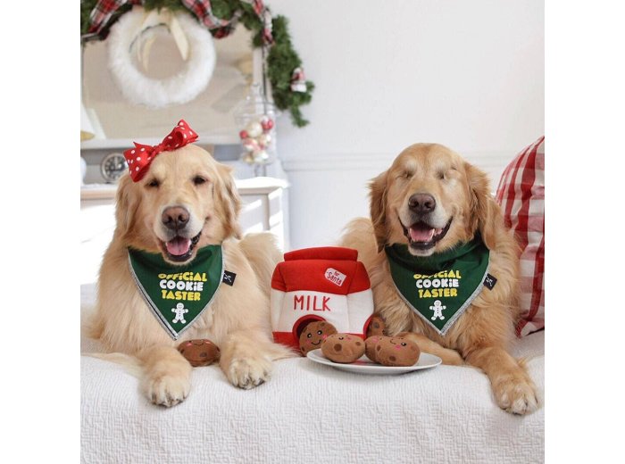 Holiday Zippy Burrow - Santa's Milk and Cookies - Christmas Dog Toy