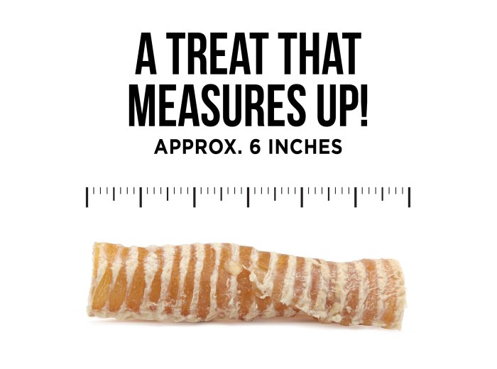 The Only Beef Trachea Chews Dogs Need