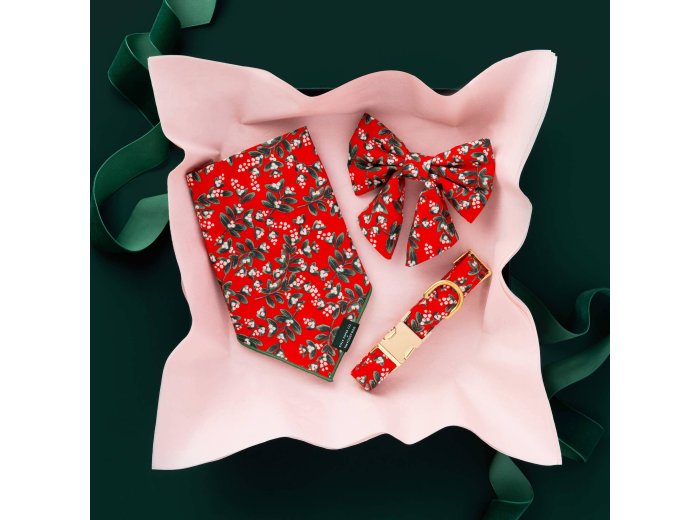 Rifle Paper Co. x TFD Mistletoe Dog Bandana Small