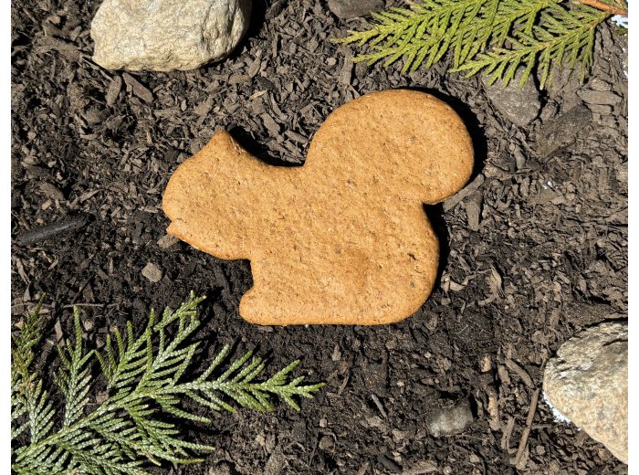 Display Crate REFILL, Cookies - Pumpkin Squash Squirrel