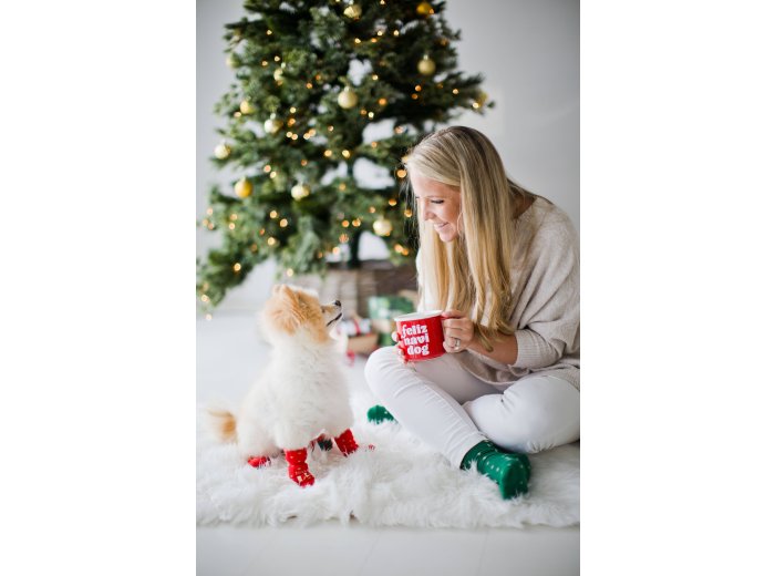 Nice & Naughty List Human & Dog Christmas Sock Set