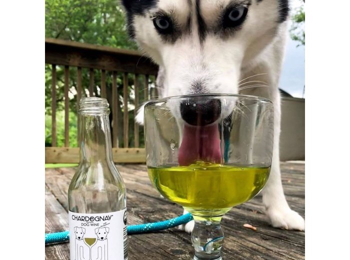 CharDOGnay Fish Oil + Bone Health Dog Wine Liquid Supplement