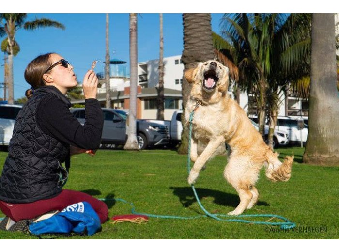 BubbleLick™ Pets Peanut Butter Swirl bubbles