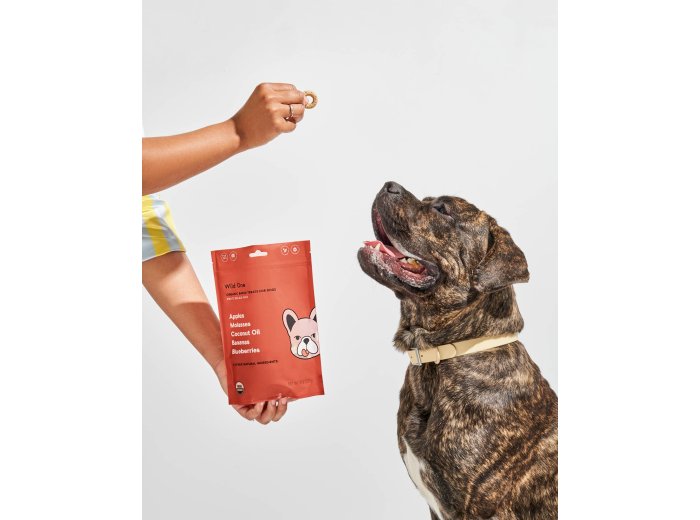 Organic Fruit Salad Vegan Baked Dog Treats