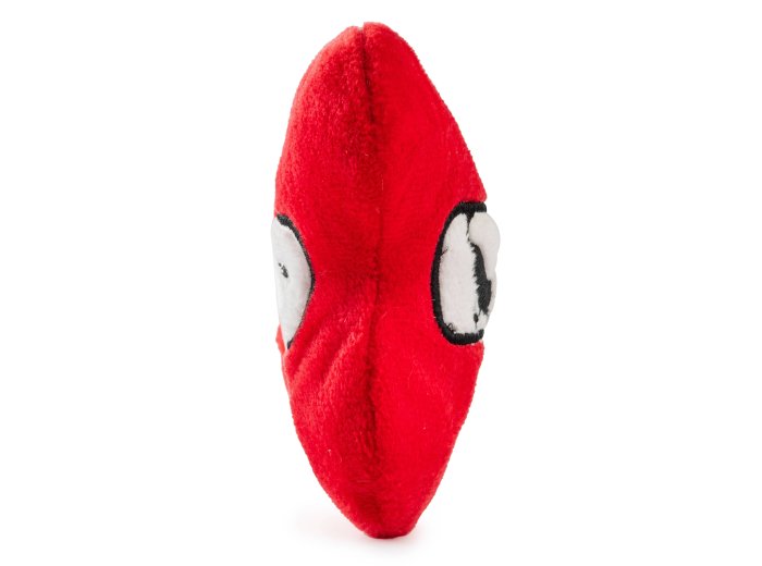 Chewlulemon Bone Dog Toy