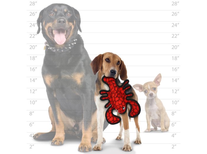 Tuffy Ocean JR Lobster, Durable, Tough, Squeaky Dog Toy