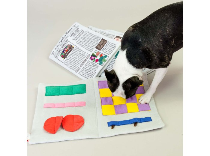 Newspaper Nosework Toy