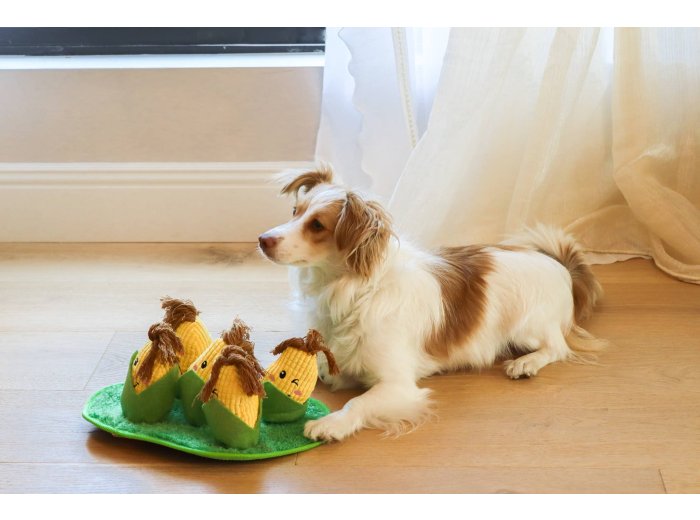 Corn Maze Snuffle Toy
