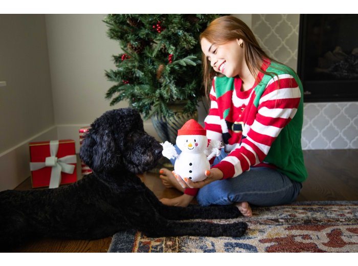 Snowman Plush Rope Christmas Dog Toy