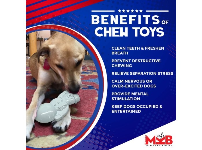 Snowman Ultra Durable Christmas Nylon Dog Chew