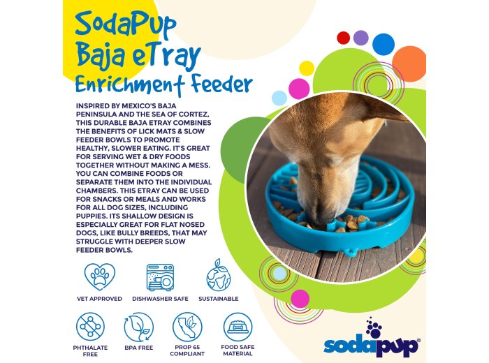Baja Design eTray Shallow Slow Feeder Bowl for Dogs