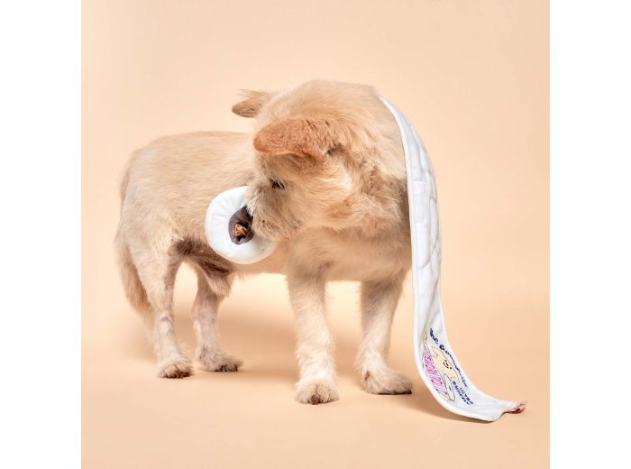 Toilet Paper Nosework Toy