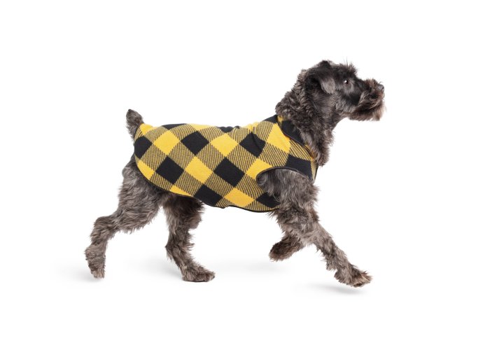 Stretch Fleece Sizes 14-30 Gold Buffalo Check