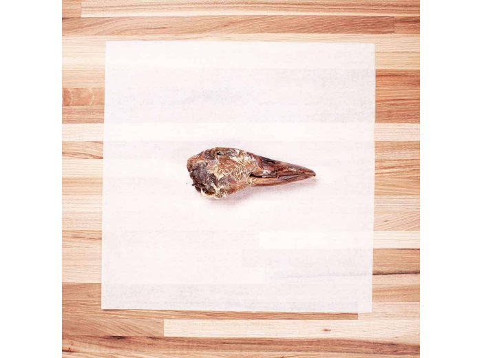 Bulk Chew: Duck Head
