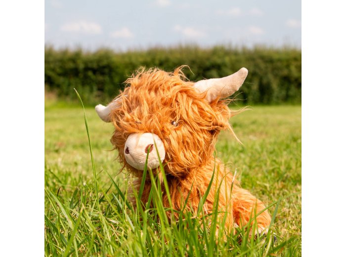 Heritage Fergus Highland Cow