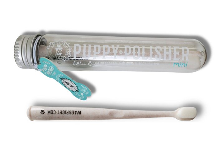 Puppy Polisher Mini Eco Toothbrush (Small)
