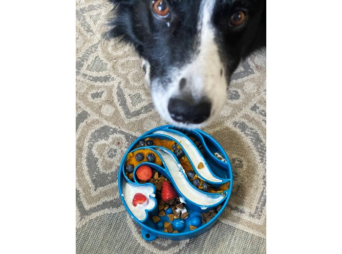 Wave Design eBowl Enrichment Slow Feeder Bowl for Dogs