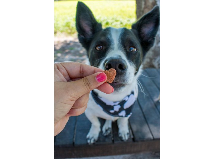 Love Bites - All Natural, Organic Training Treats for Dogs