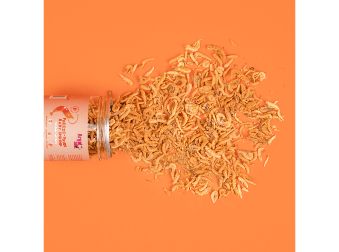 Freeze-dried Baby Shrimp