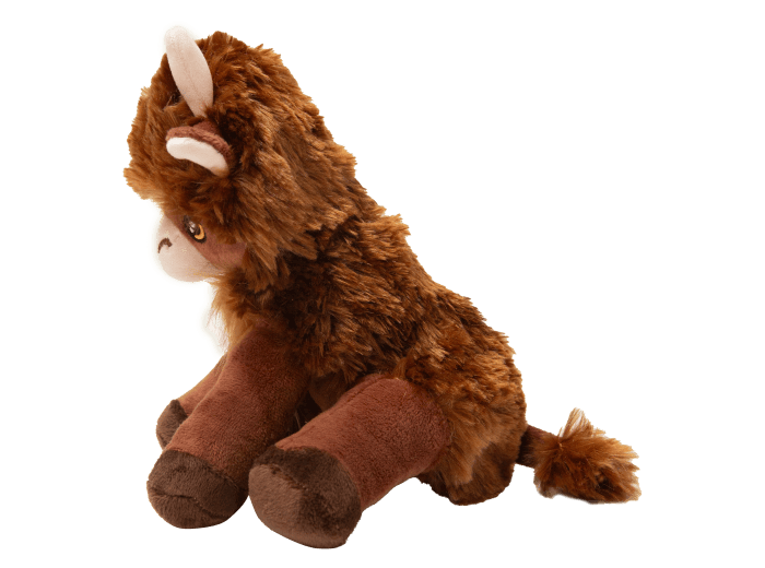 Nyland the Highland