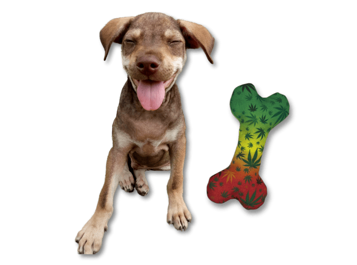 Stoned to da Bone | Funny Dog Toy | Cool Canvas Squeaky Toy