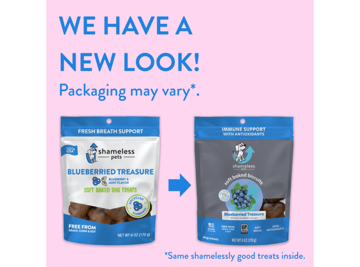 Blueberried Treasure Soft Baked Dog Treats