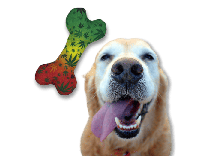 Stoned to da Bone | Funny Dog Toy | Cool Canvas Squeaky Toy