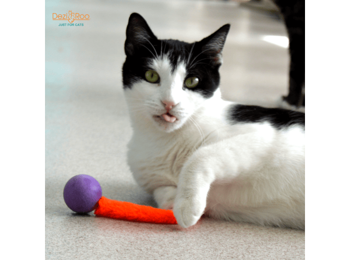 Wiggly Pong - Cat Toy Plastic Pong Ball Free-hanging on 4x4 header card