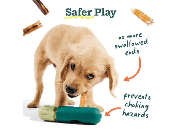 The BullySafe