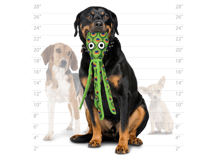 Tuffy Ocean Squid - Green, Durable, Tough, Squeaky Dog Toy