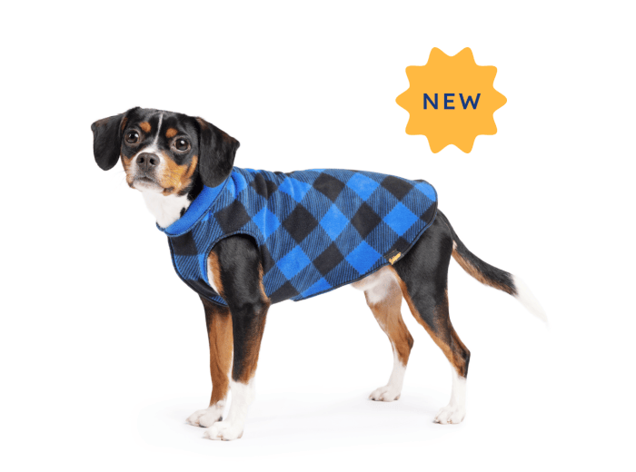 Double Fleece Rose Buffalo Check/Huckleberry