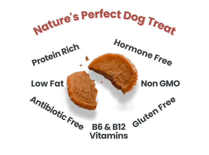 Turkey Chips Dog Treats 12oz