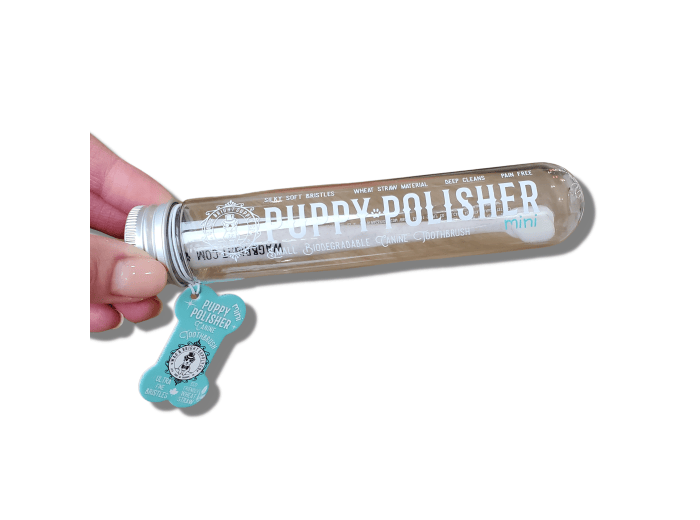 Puppy Polisher Mini Eco Toothbrush (Small)
