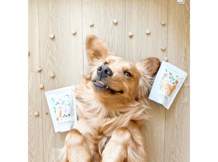 Love Bites - All Natural, Organic Training Treats for Dogs