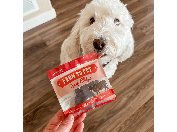 Beef Chips Snack Packs for Dogs (24)