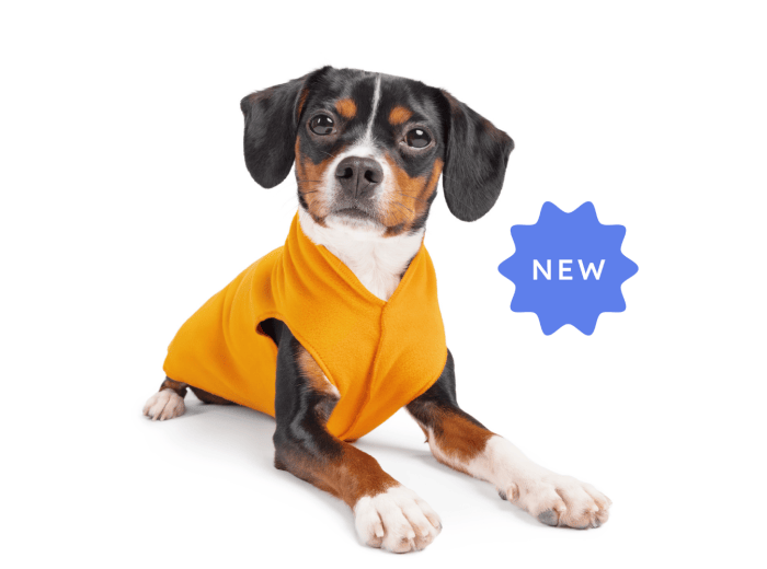 Stretch Fleece Sizes 14-30 Gold Buffalo Check