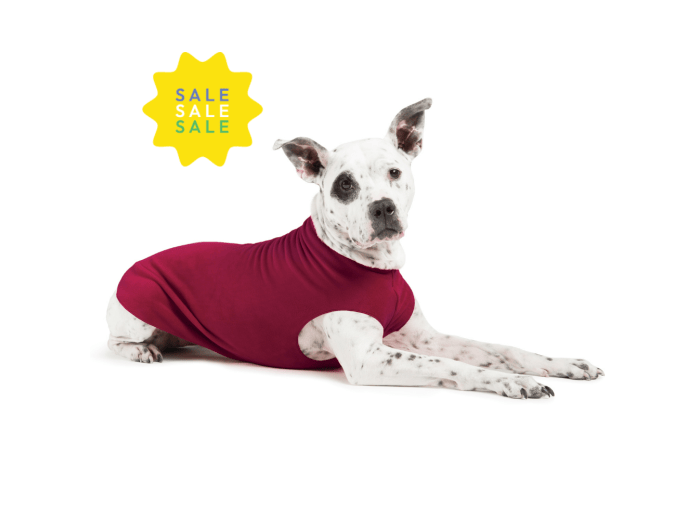 Discontinued Stretch Fleece - On Sale! Coral