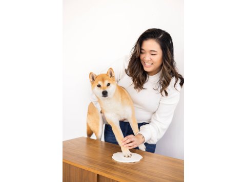 Pet Memory Box & Pawprint Impression Kit White