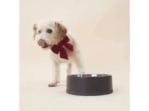Burgundy Velvet Lady Dog Bow Large