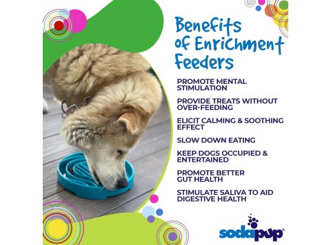 Baja Design eTray Shallow Slow Feeder Bowl for Dogs