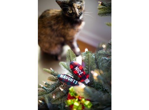 Christmas Naughty & Nice Cat Toys, Set of 2