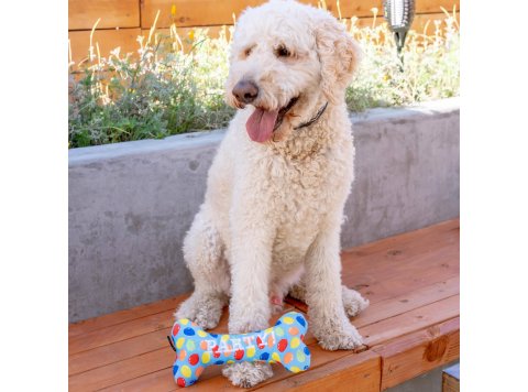 Party Time Bone Blue For Dogs SM