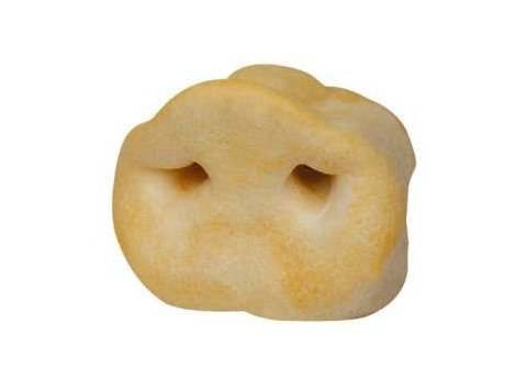 Puffy Pig Snouts