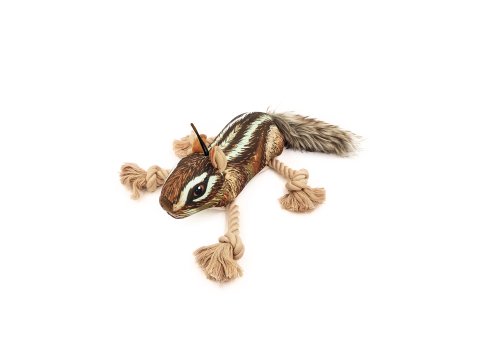 Roper Prairie Chipmunk