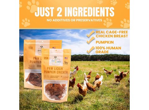 Paw Lickin' Pumpkin Chicken 12oz Bag