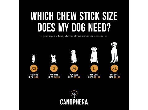Dog Chew Stick Made of Coffee Wood.