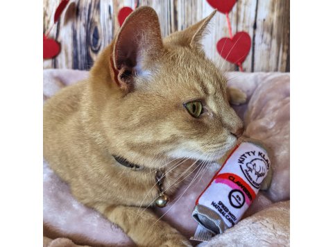 Kitty Klaw Clawberry For Cats